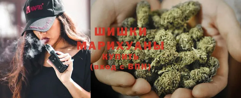 купить  сайты  Старая Русса  Конопля White Widow 